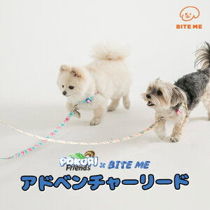 BITE ME oCg~[ POKORI Friends Ahx`[ [h ؍  y |GXe pi hbOObY