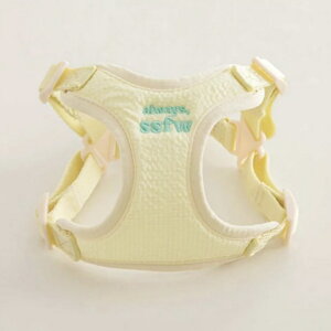 ssfw Everyday Harness pi hbOObY n[lX pn[lX BITE ME 