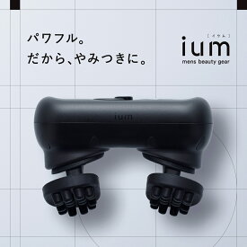 ium イウム EMSヘッドスパ EMS HEAD SPA 頭皮ケア 美容家電 メンズ フェイスケア Wワイドブラシ ハイパワーEMS搭載 自宅でできるヘッドスパ 防水設計 充電式 コードレス ギフト プレゼント
