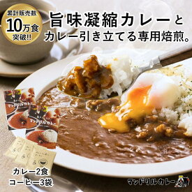 スパイス感＆フルーティな味わい！ レトルトカレー2食＆ドリップコーヒー3袋 セット たっぷり玉ねぎとスパイスの辛味香る濃厚ルー スパイスカレー 常温保存 お試し 高級