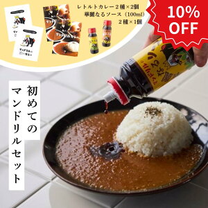 yX[p[SALE10OFFzggJ[2×2 \[X100ml×2  {i zCgJ[ ȒP XpCXJ[