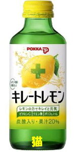 yLz|bJ L[g 155mlr×24{