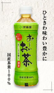 yLzɓ@[@`@600mlPET×24{