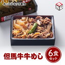 冷凍 駅弁 冷凍弁当 高級 あったかおうち駅弁 但馬牛 牛めし弁当 6食セットお盆 帰省 山陽本線 姫路駅 在来線 ご当地 美味しい 鉄道 マニア 催事 車窓 冷凍取り寄せ ギフト