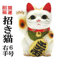 開店祝い 周年祝い お店 プレゼント 招き猫 貯金箱 カフェ 【招き猫6号(右手)】居酒屋 カフェ レストラン…