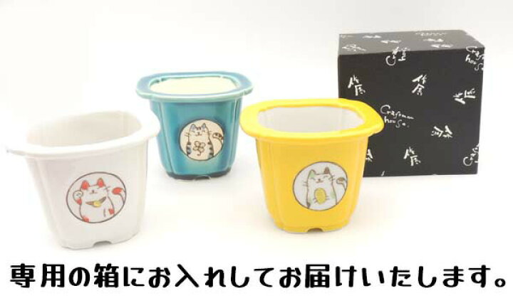 楽天市場 誕生日 プレゼント 女性 3000円 花瓶 おしゃれ 花 フラワーベース 風水猫ミニ植木鉢 3色 植木 縁起物 面白い招き猫 まねき猫 陶器 開業祝い 開運グッズ Pup かわいい 猫 雑貨 グッズ 金運 クラフトマンハウス ギフト 贈り物 熨斗 猫 好きな人 瀬戸焼 Ss50