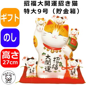 JXj ԈȊO u 킢  Nj ړ]j T X v[g JƏj  L 傫 yJ^Li9jiaj27cmza  Jt