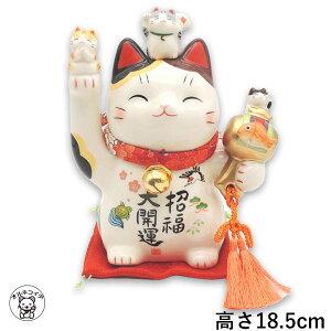 JXj Nj ԈȊO X v[g L L ߂  v[g JtF Xg e 蕨 ^AbvObY u ܂˂˂ yJ^Li߂