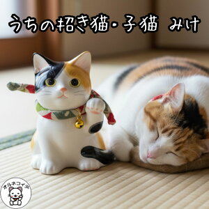 L u A 킢 D v[g CeA G Ɋ΂ JXj Nj ړ]j L LD v[g L y̏Li݂EqLjz܂˂L 蕨 Mtg 