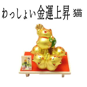 JXj Nj v[g iF ObY L u ܂˂˂ JXj ݂Ȃł傢 5p`ōi y傢^㏸iLjzy܂˂L X LObY  ̔ J