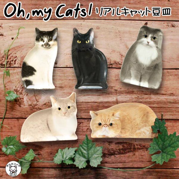 楽天市場 猫グッズ 誕生日 プレゼント 男性 皿 小皿 おしゃれ 北欧 白 醤油 セット 雑貨 猫 好き な 人 プレゼント かわいい リアルキャット豆皿 1枚入り デコレ Decole 豆皿 リアルキャット 子供用 ギフト 猫食器 かっぱ橋 ギフト 雑貨 ネコマニア 猫の手 ラッピング