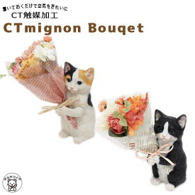 楽天市場 誕生日プレゼント 猫好きの通販