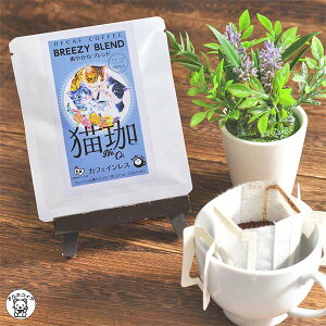 JtFCX R[q[ Dw v[g 2025 Mtg CX^gR[q[ LD JtFCXyLہ@u₩ȃuh hbvobO1zhbvR[q[  tB^[sv