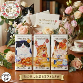 母の日 早割 猫 チョコ 2026 お菓子 ギフト プレゼント チョコレート ねこ スイーツ 猫の日 おしゃれ 送料無料 コーヒー 味 モチーフ 日本 かわいい 猫好き 女性 お菓子 プチ 誕生日 【 猫珈 ホワイトチョコレート3枚セット】個包装 グッズ 女友達 お返し 義理 友チョコ