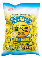 【エントリーで当店全品ポイント5倍!】松屋製菓 食べる塩レモンキャンディ 700g