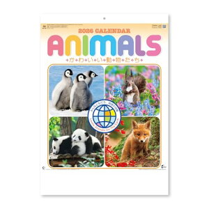 V{J_[ 2026N J_[ Ǌ| 킢 N\t NK104 