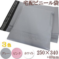 【送料無料●100枚】LDPE 宅配ビニール袋 宅配ポリ袋 宅配袋 ポリ袋　強力テープ付き 厚手　A4サイズ　DM…
