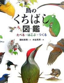 楽天市場 鳥 くちばしの通販