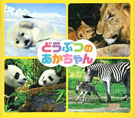 楽天市場 シマウマ 全巻の通販 楽天市場 シマウマ 全巻の通販