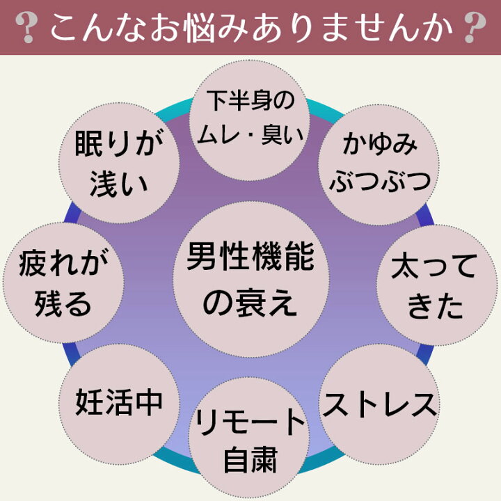 楽天市場 ふんどしパンツ 全13色 送料無料 ノーマルタイプ Tバックタイプ 男性用 下着 肌着 メンズ パンツ ふんどし 締め付けない おしゃれ トランクス リラックス 妊活 かゆみ かぶれ 蒸れ 肩こり 腰痛 むくみ プレゼント 日本製 綿100 ふんどし型パンツ専門店