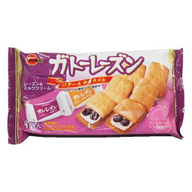 ブルボン　ガトーレーズンFS　12袋入り　☆☆菓子　ギフト　詰合せ　子供　職場　おつまみ　パーティー　駄菓子　お家　人気　景品　旅行　菓子セット　満足　安い　イベント　お菓子詰め合わせ☆☆　 お菓子の満月