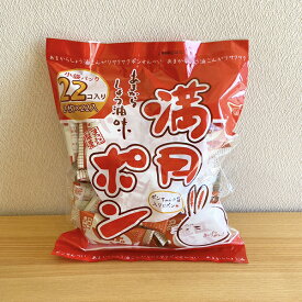 小分けにピッタリ！22個 満月ポン（2枚×22個）×3パック