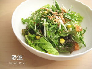 yÔg T_{Ez i20cmj AEgbg / T_{E ˔ ϕ 唫 {[ Xg JtF k ĂȂ p[eB[ 