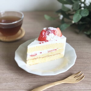 yFC v[g 16cmz AEgbg / fU[gv[g pM M 킢 P[LM  Xg JtF Ɩp