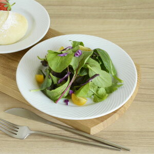 19cm v[gyI[V X[z AEgbg / T_v[g CXv[g fU[gv[g X^bN ƖpH Xg JtF M v Vv_ ̐H 