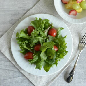 20cm v[gyOcean Shine I[VVCz@AEgbg / T_v[g CXv[gfU[gv[g v Ɩp H Vv X^bLO  pM M z