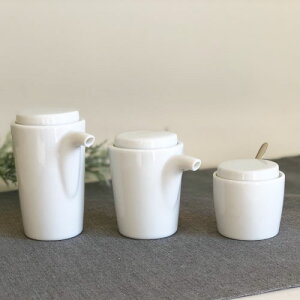 y㒲 ZbgzV[,\[X,XpCX,gC / ݖ 傤 傤  zCg Vv   [  \[X hq e[u 