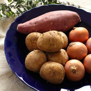 yRuri ڗF Kv[g36cmz@AEgbg / rbtFM ubtFM oCLOM M 傫M M F  ĂȂM