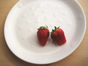 yn[gpX^v[g@23cmz AEgbg@/@M v[gfBbV fBi[v[g 