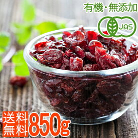 【大容量850g】無添加・有機・砂糖不使用　オーガニックドライクランベリー850g（アップルジュース漬け）/自然な甘みと酸味/ポリフェノールたっぷりヘルシーおやつ♪