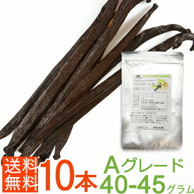 ＜Aグレード＞インドネシア産バニラビーンズ 10本（14-18cm、計40～45g） 製菓用 業務用 無農薬