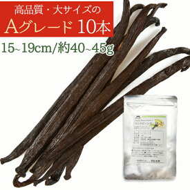 【高品質・大サイズのAグレード】インドネシア産バニラビーンズ 10本（15-19cm、計40～45g） 製菓用 業務用 無農薬