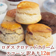 【訳あり福袋】＜Rodda's ロダス＞ クロテッドクリームスコーン（ミックス）12個セット 濃厚しっとり極上…