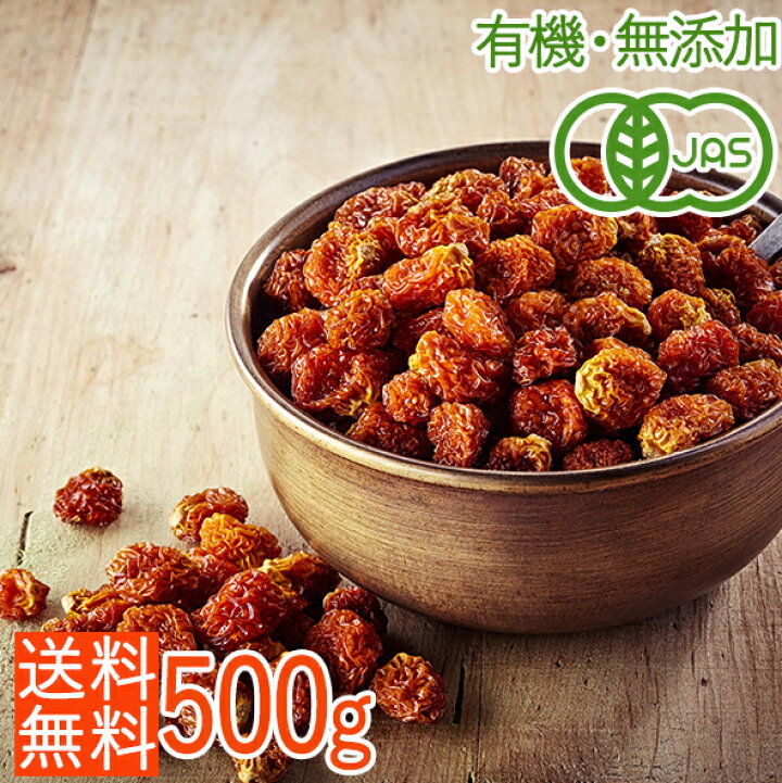 楽天市場 送料無料 有機jas 無添加 オーガニックドライゴールデンベリー 500g 栄養豊富なスーパーフード 砂糖不使用 インカベリー ほおずき ナチュラル食材マート マンゴーズ 楽天市場 送料無料 有機jas 無添加 オーガニックドライゴールデンベリー 500g 栄養豊富なスーパーフード 砂糖不使用 インカベリー ほおずき ナチュラル食材マート マンゴーズ