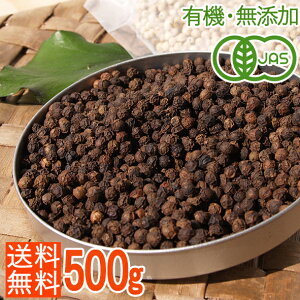 e500gL@JAS I[KjbNӞ n̂݌I / 傤 ubNybp[ RVE