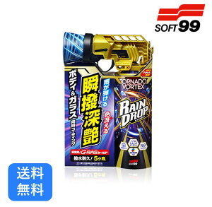  SOFT99 Chbv gl[hHebNX 300mL SOFT99 VTVwbh oY[J KX ŋ  {fB 5ϋv G-RASV[h ȒP{H  J[R[eBO C