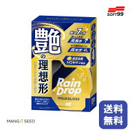 送料無料 SOFT99 レインドロップ ゴールドグロス 400ml 撥水 コーティング剤 車 ガラス コーティング 艶…