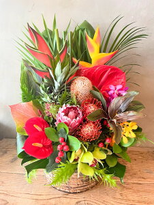 ܂InCAoXPbgt[AW10000@ Mtg a  AWg t[ Mtg  j JXj AW y ސEj  v[g