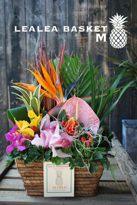 楽天市場 おまかせ ハワイアンフラワーアレンジ Lealea Basket M 花 ギフト 誕生日 アレンジメント フラワー ギフト お花 お祝い 開店祝い アレンジ あす楽 退職祝い 母 プレゼント Mangotreeflowermarket