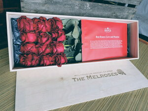 JtHjAX^Cu[P Melroses1_[X̃o@{bNXt[ ԃo ԑ a j  [Y ؔɓ j j j ސEj o@v|[Y  