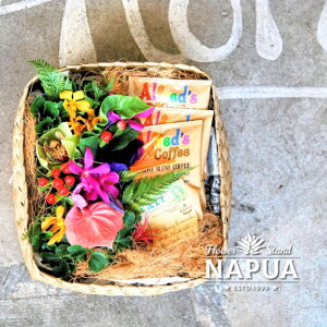 Flower,Coffee&RELAX ԂƃR[q[ƃbNX Lauhalabox Flower&Coffee THE KONA  Mtg a AWg t[ Mtg  j JXj AW y ސEj v[g