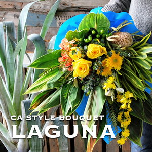 ԑ a j  [Y z͂J[ZNg j j y j ސEj o@[Y   av[g t̂ } zCgf[ J