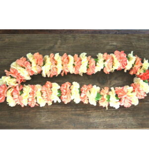 nCACԁ@Waipio single