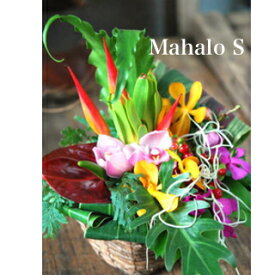 ハワイアンバスケットフラワーアレンジ　Hawaiian Basket Flower "Mahalo!"S