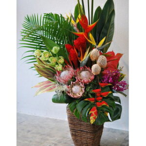 生花 アレンジメントフラワー ボリューム 花 送料無料の人気商品 通販 価格比較 価格 Com