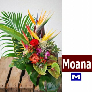 ハワイアンバスケットフラワーアレンジ　Hawaiian Basket Flower "Moana"M